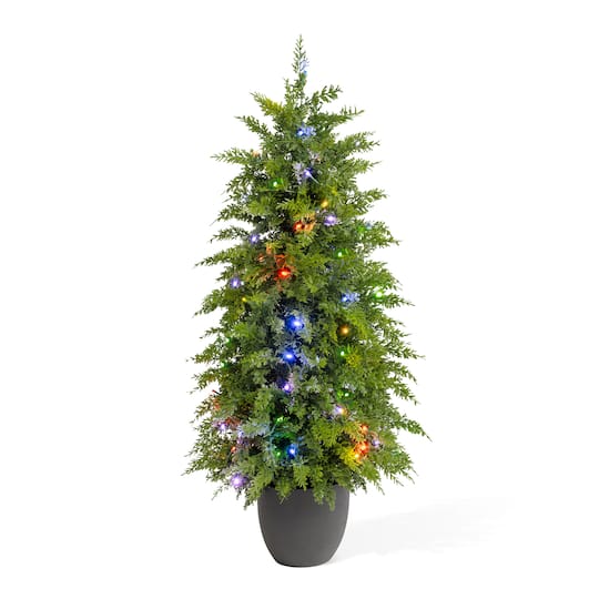 Glitzhome 3ft Pre-Lit Artificial Cedar Porch 3 Foot Pre-Lit Multi-Function Lights Cedar Christmas Tree, One Size, Green